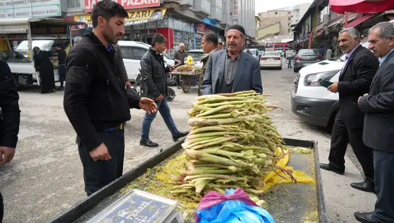 Dağlık Alanların Şifalı Şekerleri: Kanser ve Mide Hastalıklarına Çözüm mü?