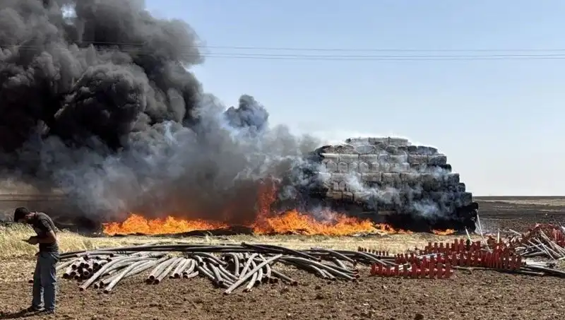 Mardin'de Anız Yangını: Tarım Arazileri Kül Olma Tehlikesiyle Karşı Karşıya