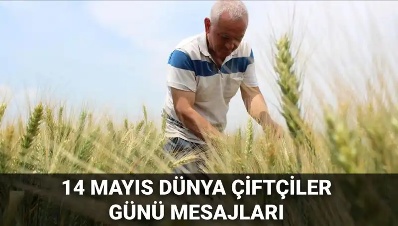 14 Mayıs Dünya Çiftçiler Günü: Çiftçilere Özel Anlamlı Mesajlar