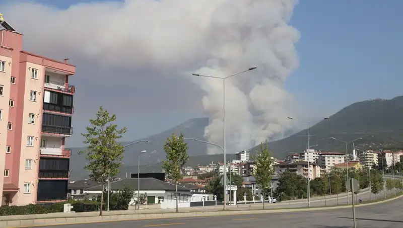 Denizli'de Orman Yangını: Gerçekleri Ortaya Çıkartacak Bir Şüpheli Gözaltında
