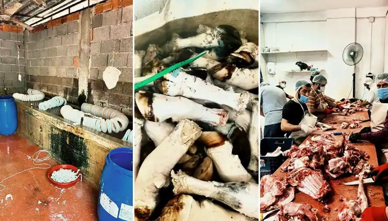 Adana'da Şok Eden Operasyon: Yüzlerce Kilo Çürük Paça Ele Geçirildi!