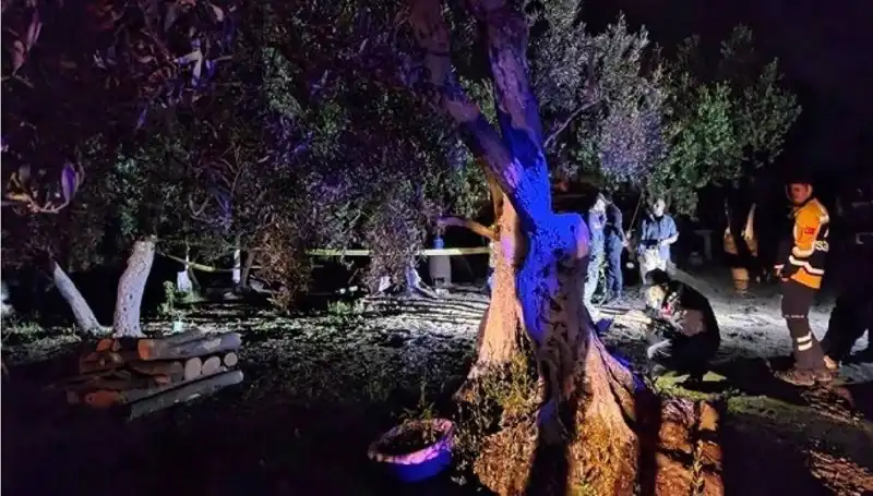 Çiftlikteki Kan Donduran Olayda İlk Tutuklama Gerçekleşti