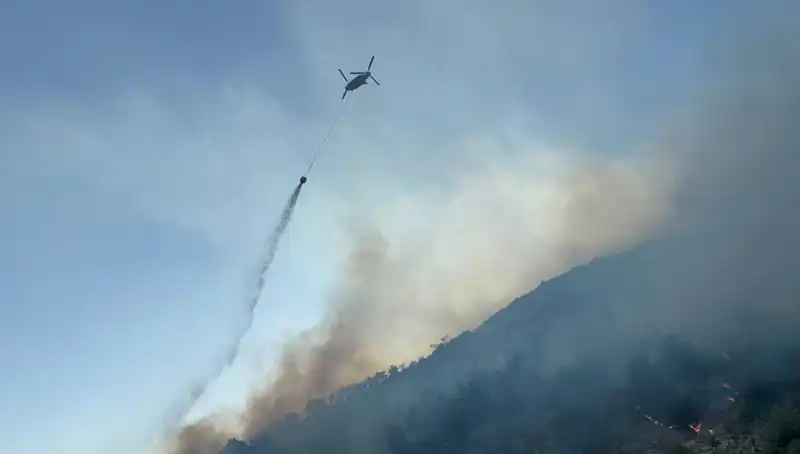 Söke'de Yangın Felaketi: Ormanlar Kontrol Altına Alındı