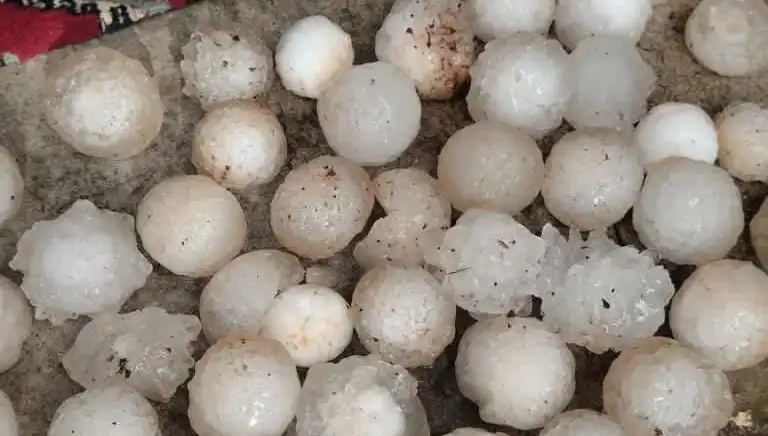 Şanlıurfa’da Kar Topu Büyüklüğünde Dolu Yağışı Şaşırttı